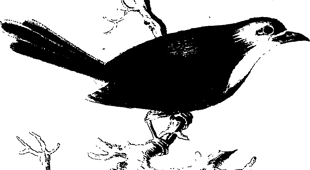 060/060140080000520_0.png