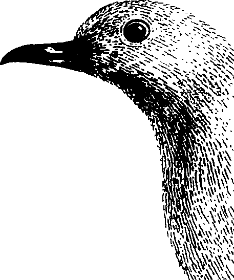 060/060140080000660_0.png