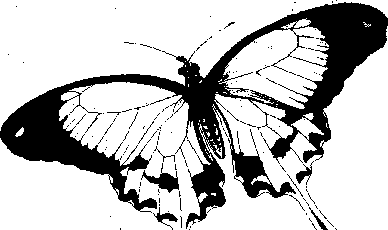 060/060140080000800_1.png