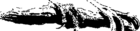 060/060140080000910_0.png