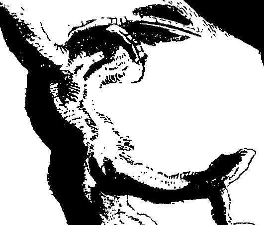 060/060140080001020_0.png