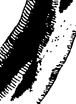 060/060140080001200_0.png