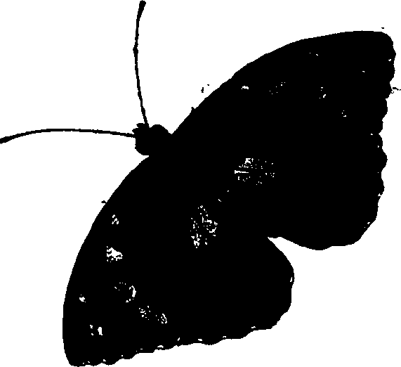 060/060140080001370_0.png