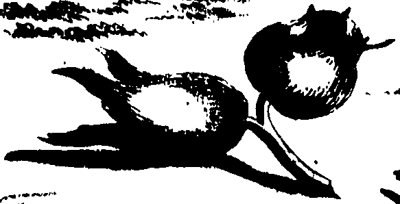 060/060140080001670_0.png