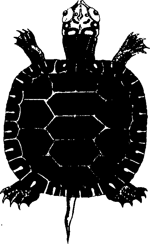 060/060140080001700_0.png