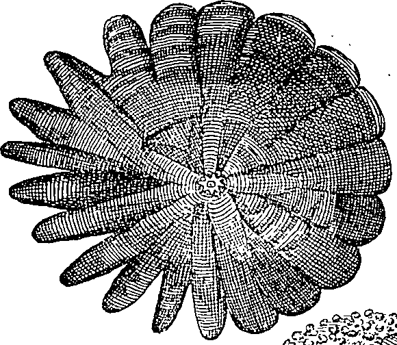 060/060170010000050_1.png