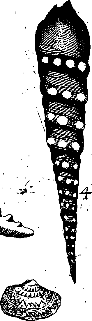 060/060170010000060_1.png