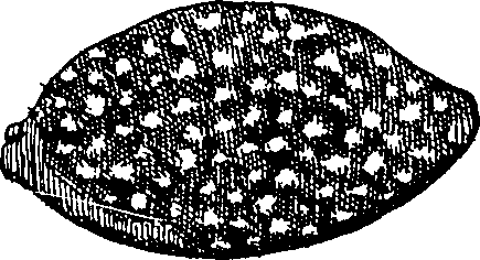 060/060170010000070_1.png