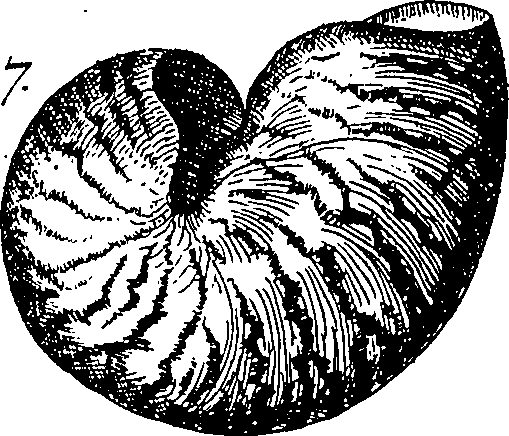 060/060170010000070_2.png