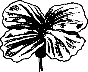 060/060170010000300_1.png