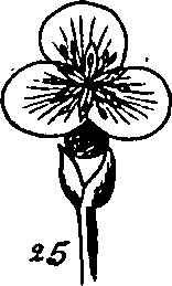 060/060170010000300_2.png