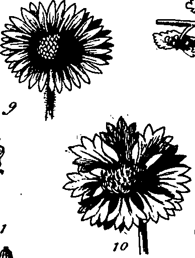060/060170010000300_4.png