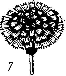 060/060170010000300_5.png