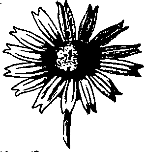 060/060170010000300_6.png