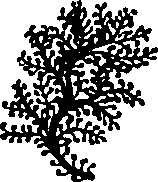 060/060170010000300_7.png