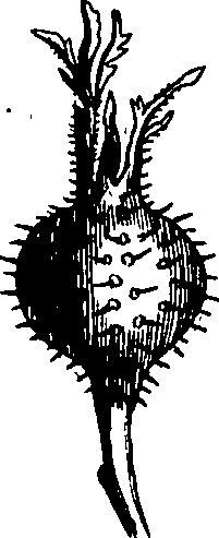 060/060170010000310_0.png
