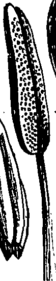 060/060170010000310_3.png