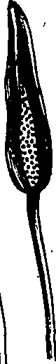060/060170010000310_5.png