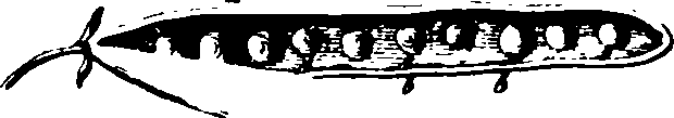 060/060190100003540_2.png