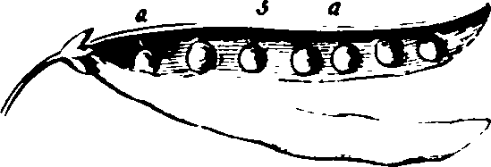 060/060190100003540_3.png