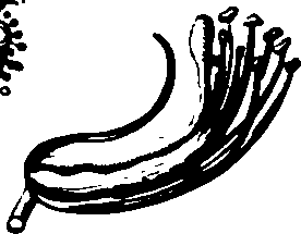 060/060190100003550_0.png