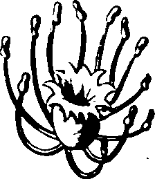 060/060190100003550_1.png