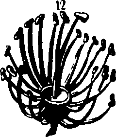 060/060190100003550_2.png