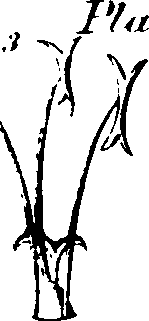 060/060190100003550_4.png