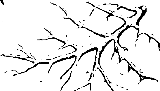 060/060190100003580_0.png