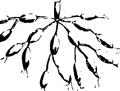 060/060190100003580_1.png