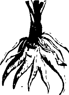 060/060190100003580_2.png