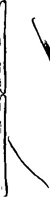 060/060190100003590_0.png