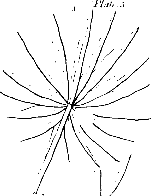 060/060190100003590_1.png