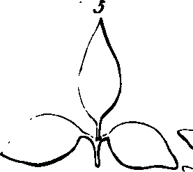 060/060190100003660_2.png