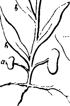 060/060190100003670_0.png
