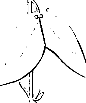 060/060190100003700_0.png
