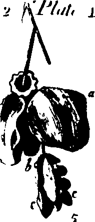 060/060190100003740_0.png