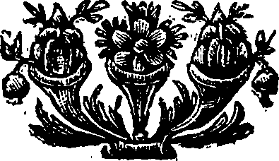 060/060290140000080_0.png