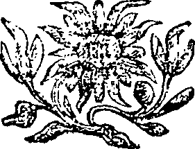 060/060290140001320_0.png