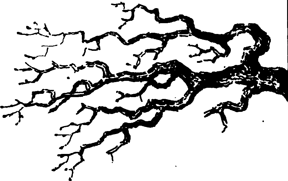 060/060350050101270_0.png