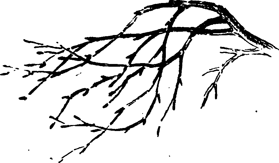 060/060350050101310_0.png