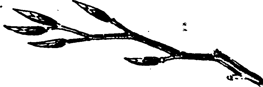 060/060350050101310_1.png