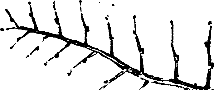 060/060350050101310_2.png