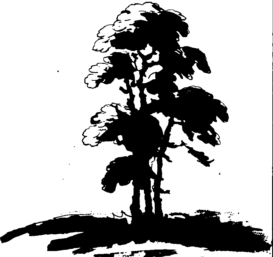 060/060350050101970_0.png