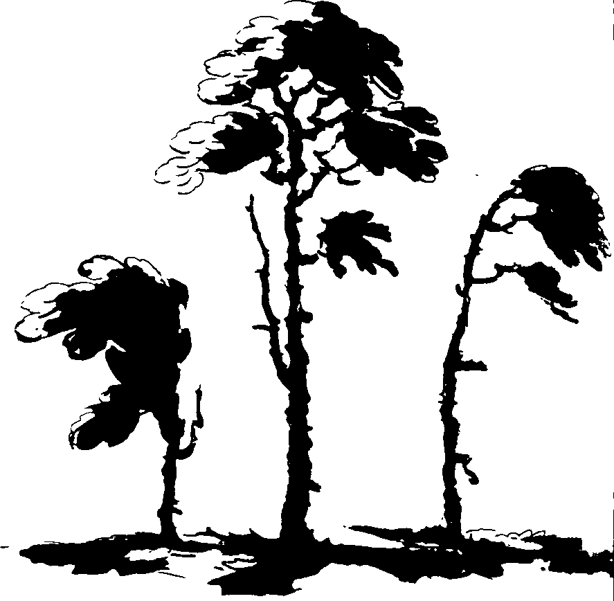 060/060350050101970_1.png