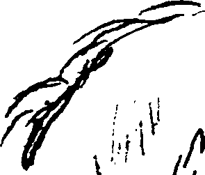 060/060350050202740_0.png