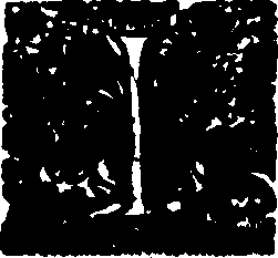 060/060380010100050_1.png