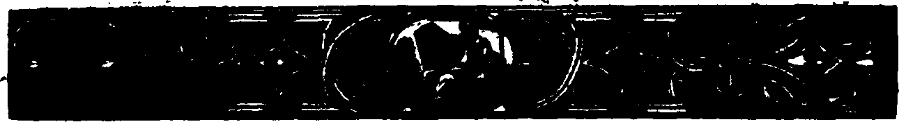 060/060380010100070_0.png