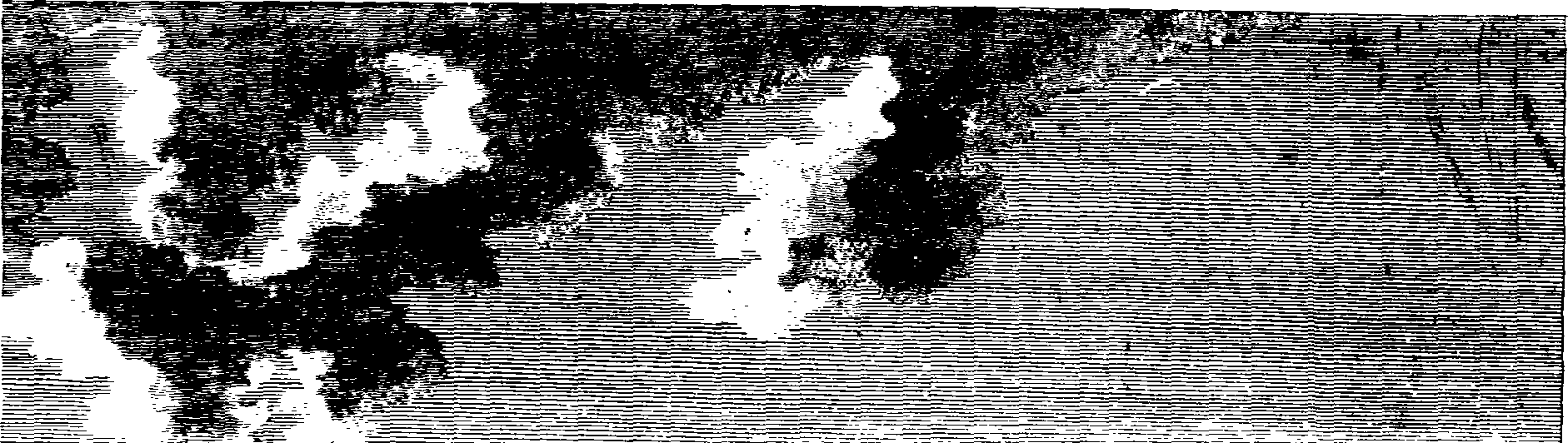 060/060400010100270_1.png