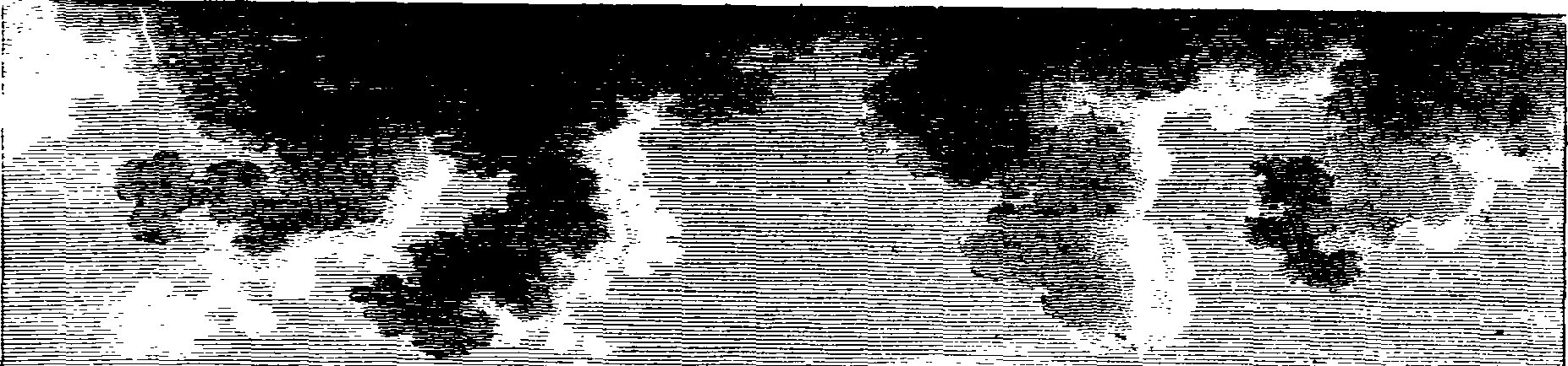 060/060400010100550_1.png